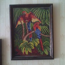 Работа «попугаи.»