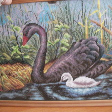 Работа «№31704»