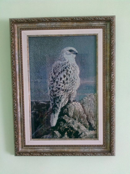 Работа «Сокол»