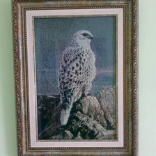 Работа «Сокол»