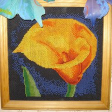 Работа «Кала»