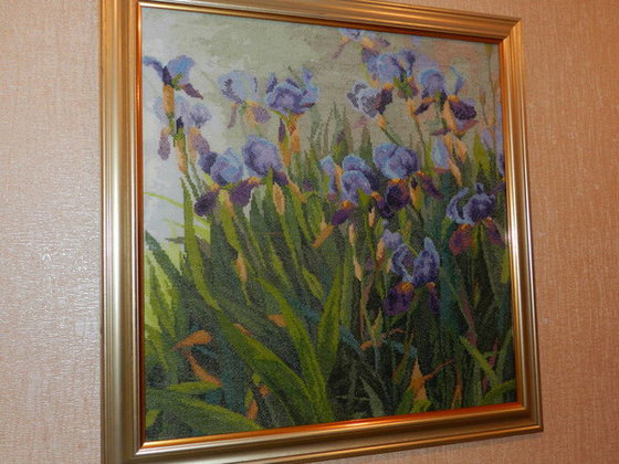 Работа «Ирисы.2010 год»