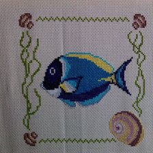 Работа «ribka»