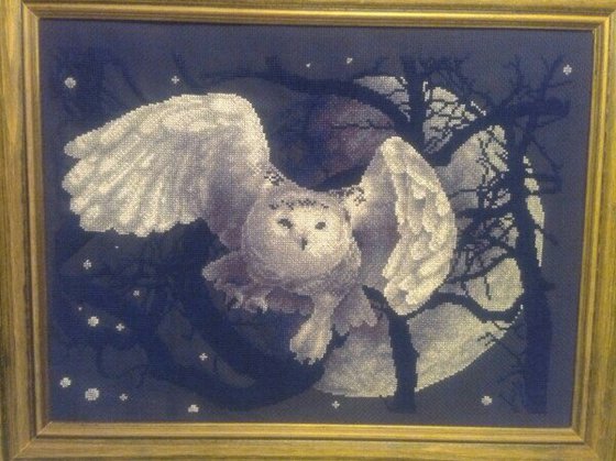 Работа «Белая сова»