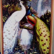 Работа «павлины»