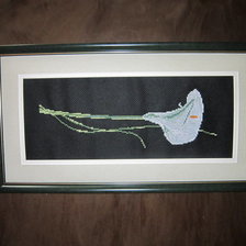 Работа «№34020»