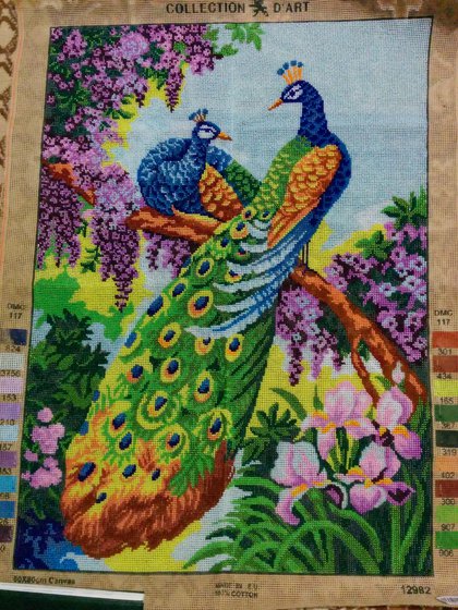 Работа «павлины»