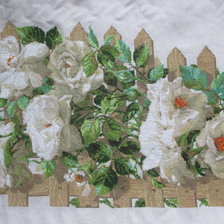 Работа «Розы на заборе. Размер 55х35»