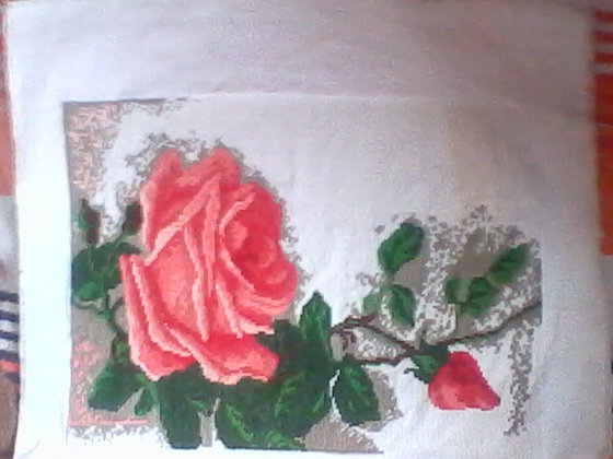 Работа «roza»