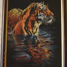 Работа «Купание тигра»