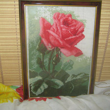 Работа «Роза. Первая вышивка крестом»