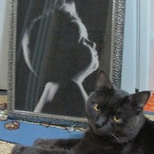 Работа «№35935»