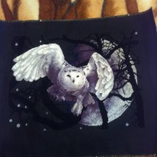 Работа «№36673»