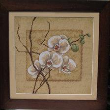 Работа «Орхидея»