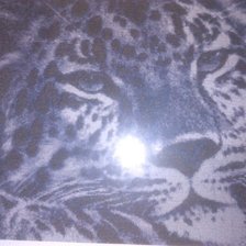 Работа «Лео»