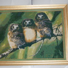 Работа «№37971»