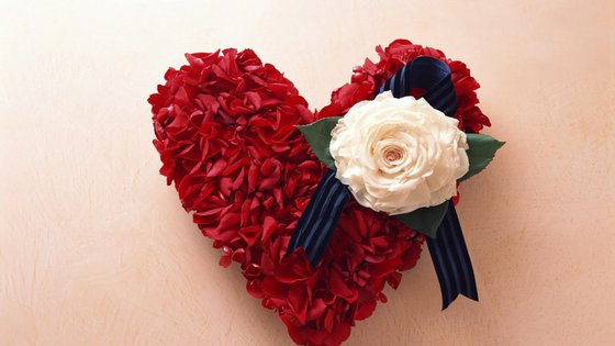 Работа «zurkh»