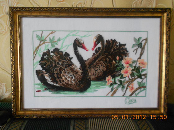 Работа «черные лебеди»