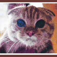 Работа «Веник и сметана»