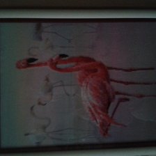 Работа «фламинго»