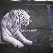 Работа «Белый тигр.....»