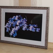 Работа «Орхидея ГК»