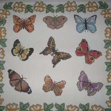 Работа «Коллекция бабочек»