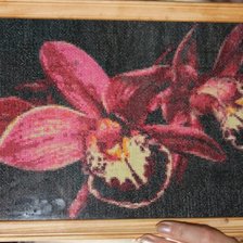 Работа «Орхидеи!!!»