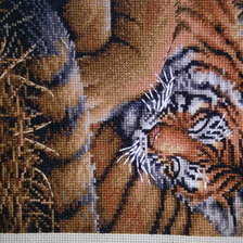 Работа «№41492»