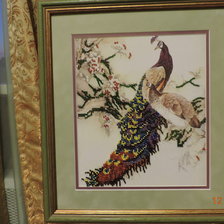 Работа «Павлин-мавлин)))»