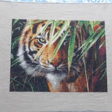 Работа «Ожидающий тигр.»