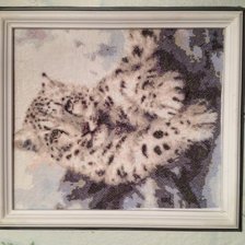 Работа «Снежный барс!»