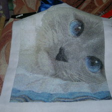 Работа «голубоглазый кот»