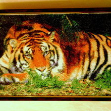Работа «Тигр отдыхает.»