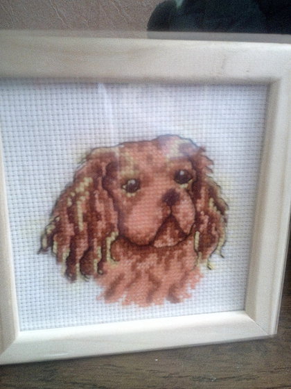 Работа «Никуша»