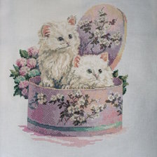 Работа «котики в коробке.»