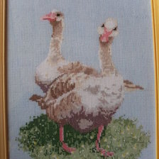 Работа «Пернатые аристократы или Птичий двор.»