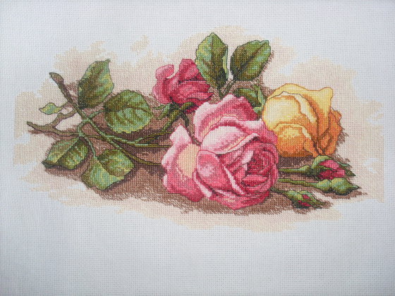 Работа «розы.»