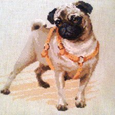 Работа «"мопс"»