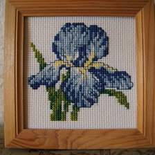 Работа «Ирис»