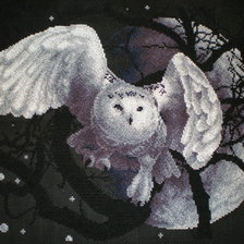 Работа «Белая сова. 150x200»