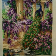 Работа «павлин в саду»