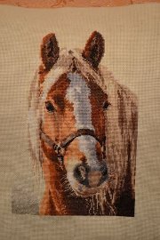 Работа «фирма Алиса "АДЕЛЬ"»