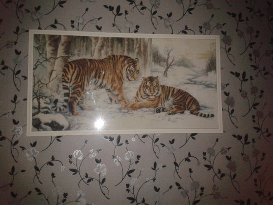 Работа «Бенгальские тигры .»