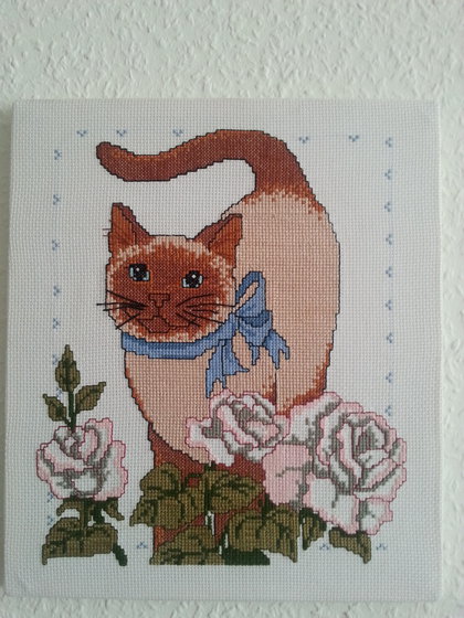 Работа «сиамская кошечка»