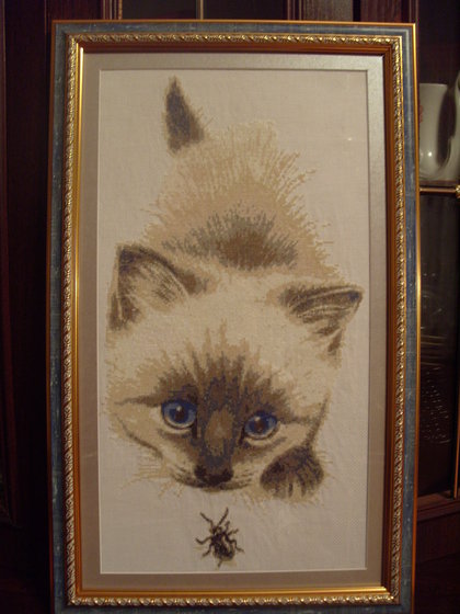 Работа «Котенок и жук.»