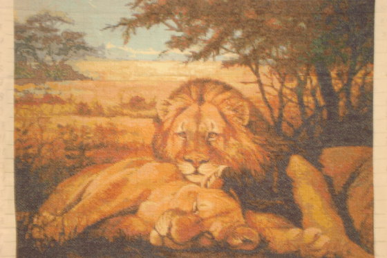 Работа «Львы в саванне»