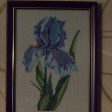 Работа «Ириска»