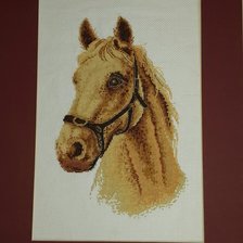 Работа «№50699»