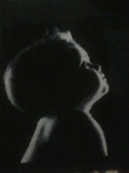 Работа «№50884»